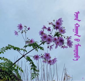 日本モンゴル植物名称万覚帳―その五